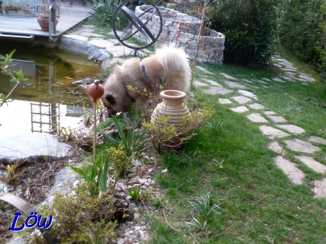 24.3.2019 - Das Wasser schmeckt nach mehr